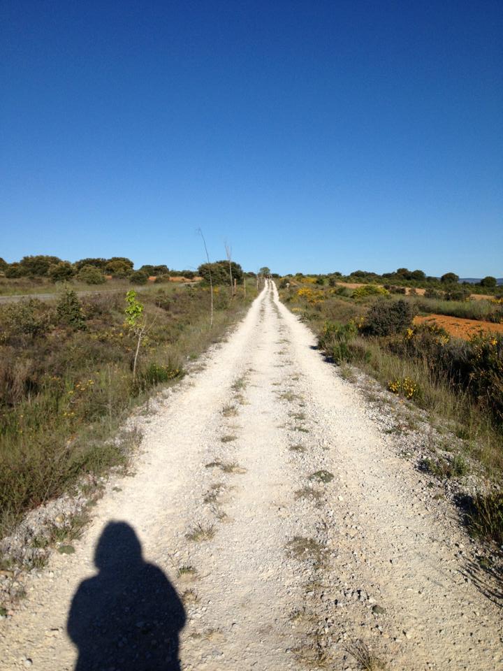 9793_10152955869490122_137291958_n