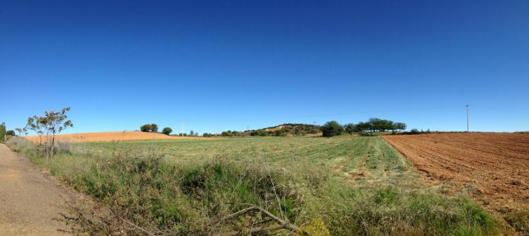 980029_10152952411240122_571607475_o