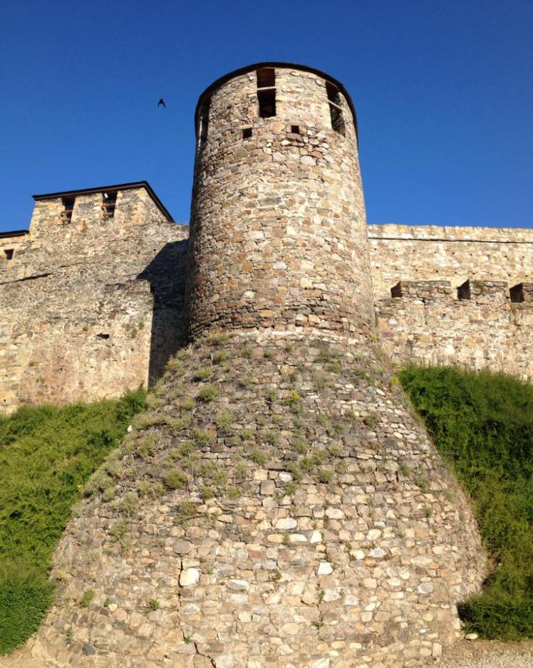 984190_10152961599315122_1793441611_n