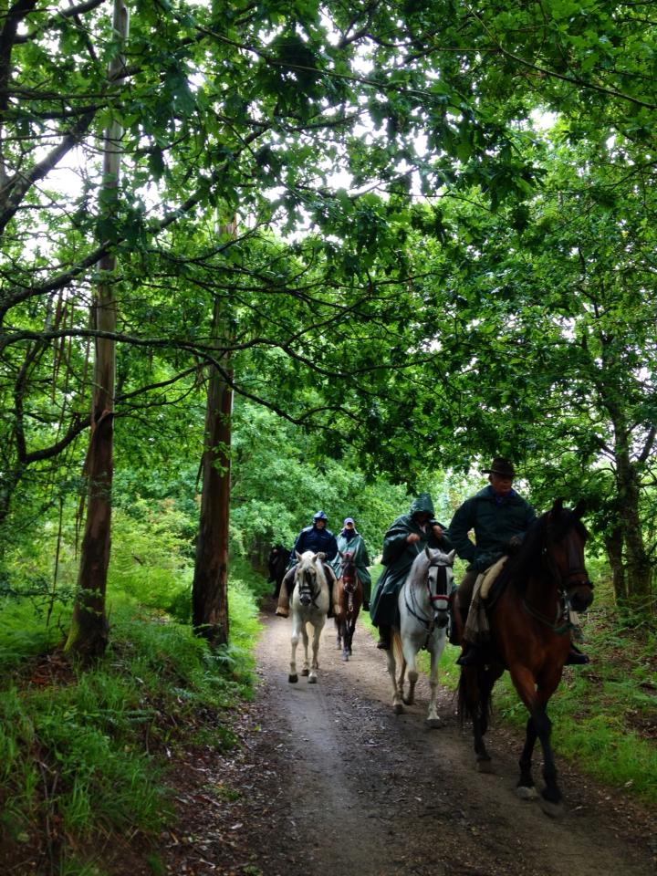 988670_10152984812140122_714114217_n