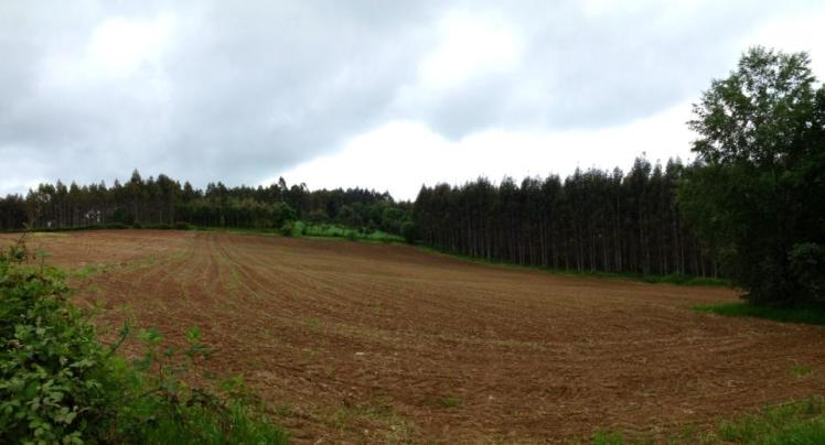 992955_10152981882050122_59905971_n