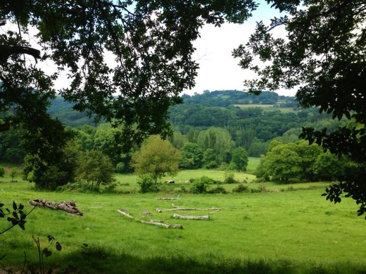 995367_10152971518075122_1327261061_n