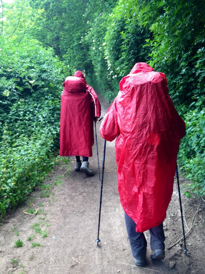 996072_10152971527690122_1200308429_n