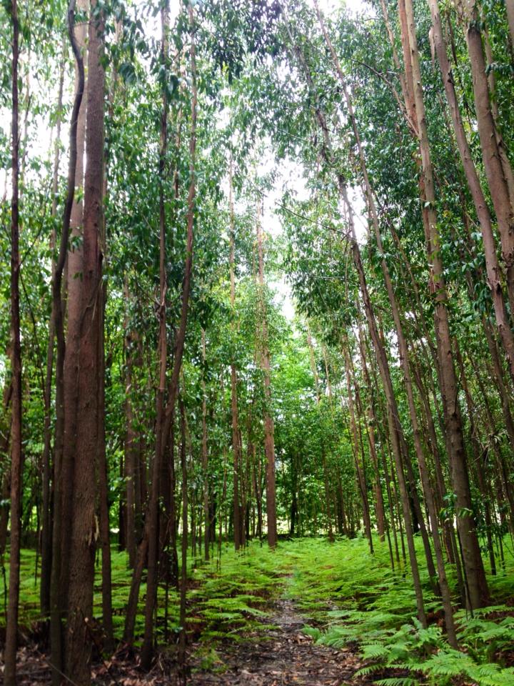 998397_10152984814080122_900511328_n