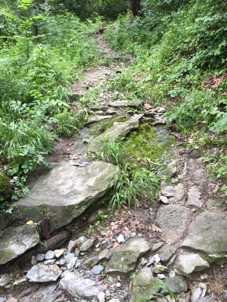 497BC55E-2C40-4AB4-95A3-04B8396FE200