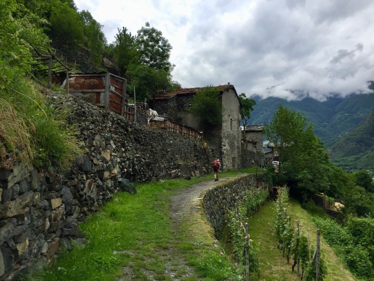 6FD3FE85-E803-4DFB-B657-2A13F2CA63A3