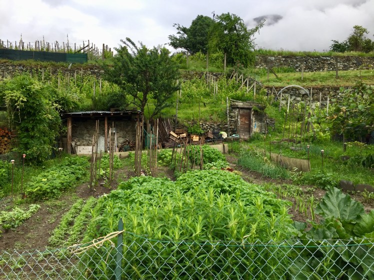 81E3B398-06F6-48D4-93B0-F0B95AA102D3