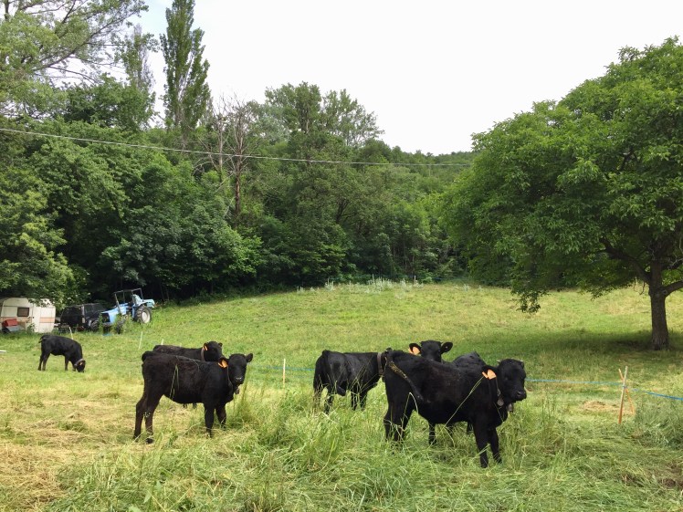 991EFF8E-7224-4AF5-8E91-9A0B4BA74403