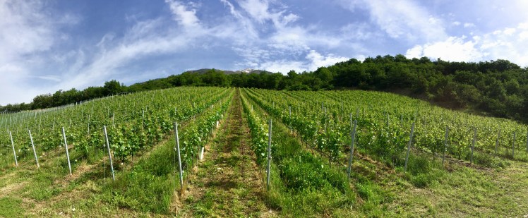 A3BEAD6F-17A0-4BBD-962B-A5A2ABE0F09D