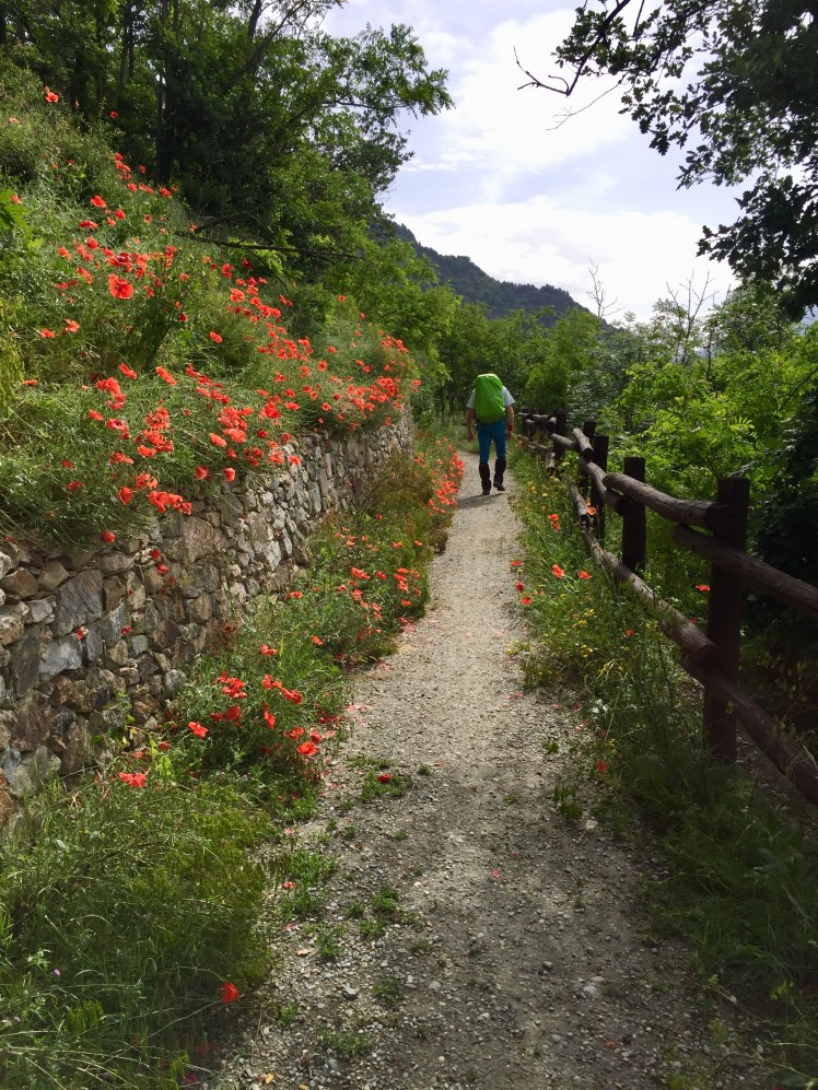 A76D0F83-1980-4F79-A128-CEF3CBC94742