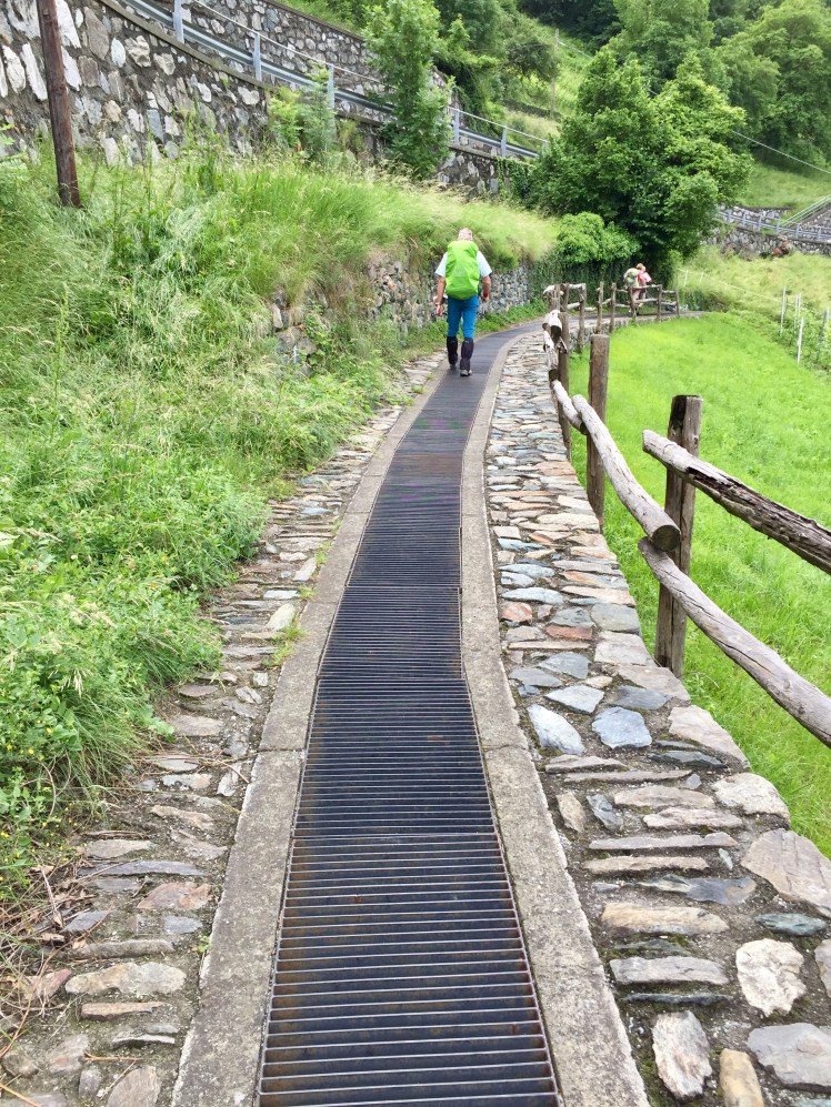 C7FA8F14-C352-4E9A-B7B8-441BCC05817C